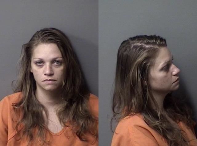 Sarah Justin arrested Sept. 23 on a felony charge of cruelty to animals.